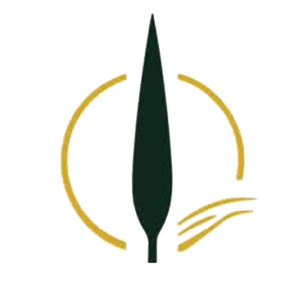تأمین کالای سرو ارس
